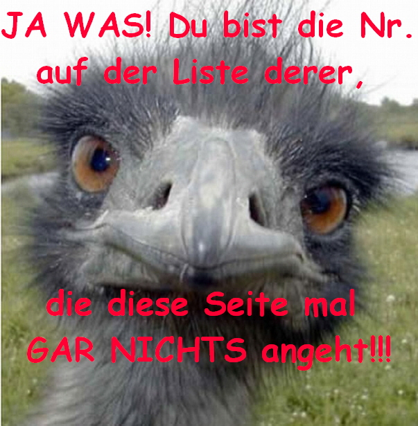 JA WAS! Du bist die Nr.
auf der Liste derer, 




die diese Seite mal 
GAR NICHTS angeht!!!